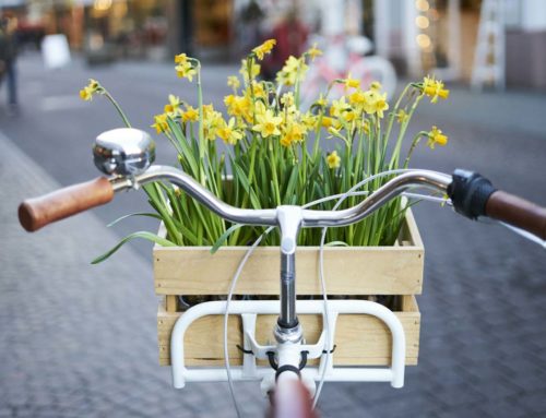 So machen Sie Ihr Fahrrad fit für den Frühling!