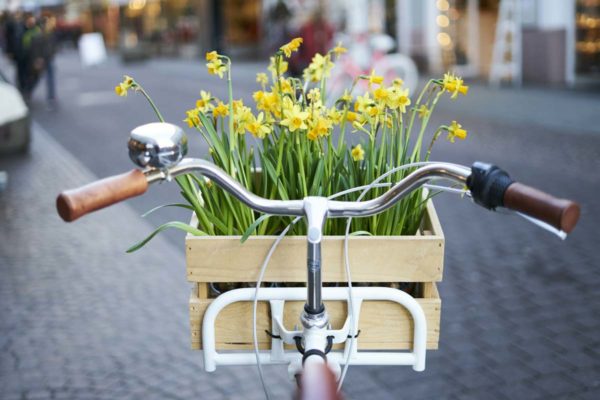 So machen Sie Ihr Fahrrad fit für den Frühling! nobilis