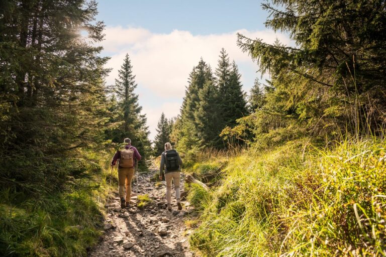 Wanderer im Harz