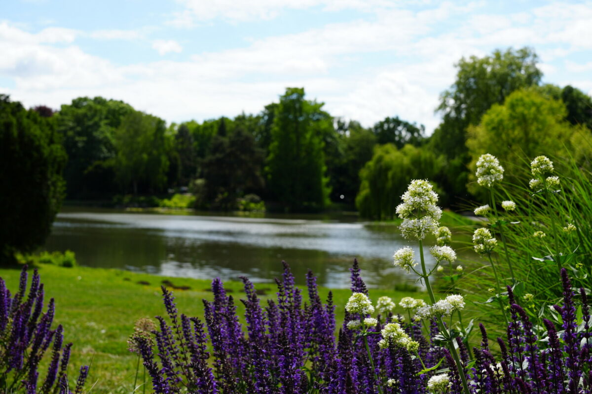 Maschpark Hannover